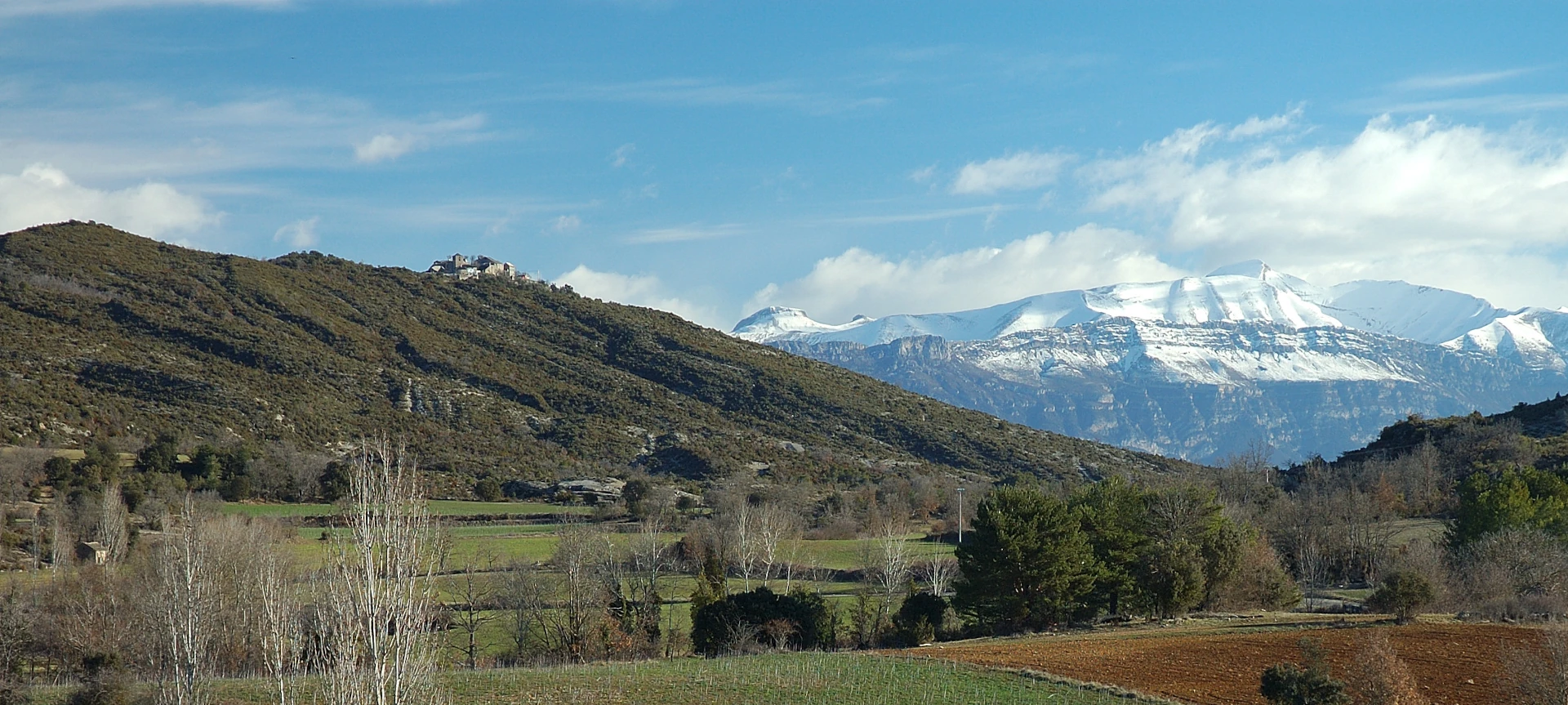 Eripol
