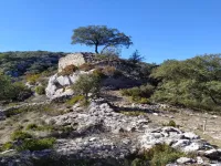 Arquitectura Defensiva 4
