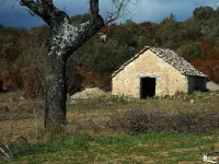 Arquitectura Popular 5