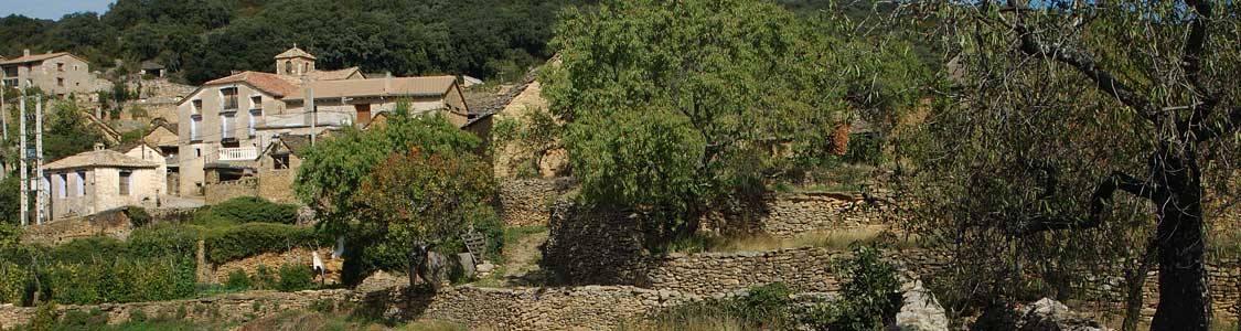 Betorz