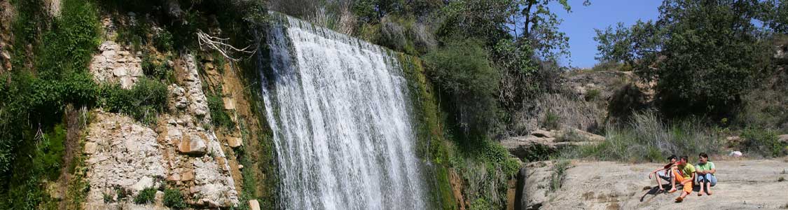 Sotos del río Vero